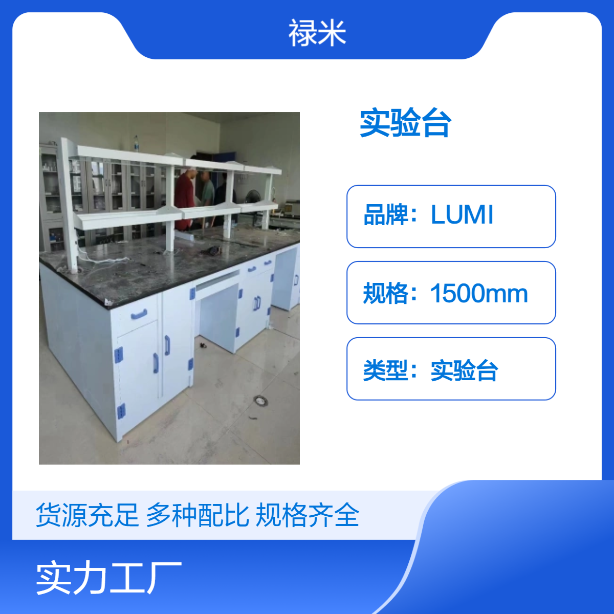LUMI PP实验台环保材料 防腐承重强按需定制需求