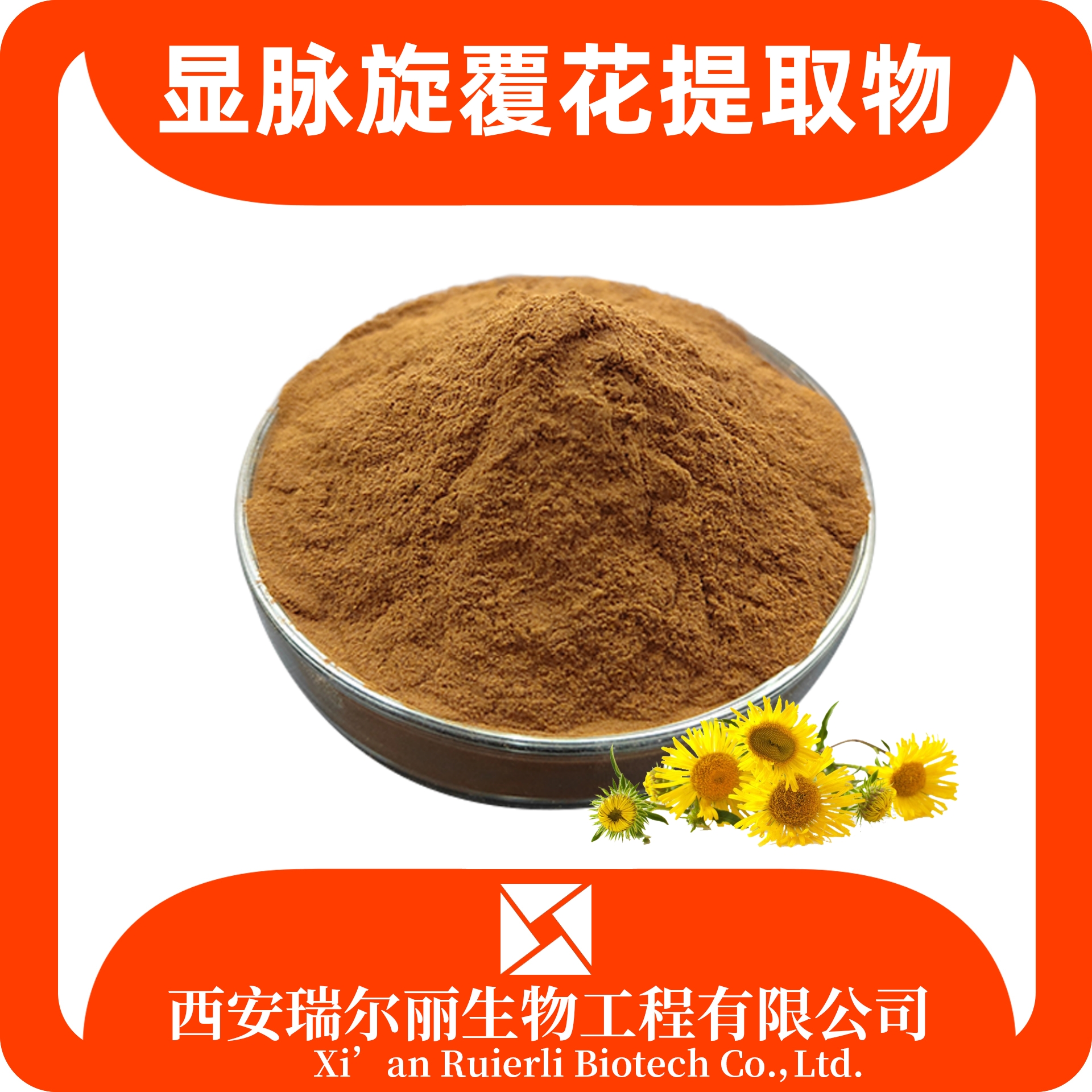 显脉旋覆花提取物 小黑药粉 SC证可定制 浓缩浸膏粉 源头工厂