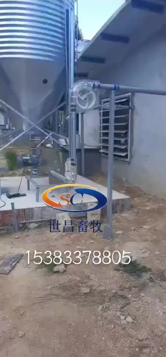 视频