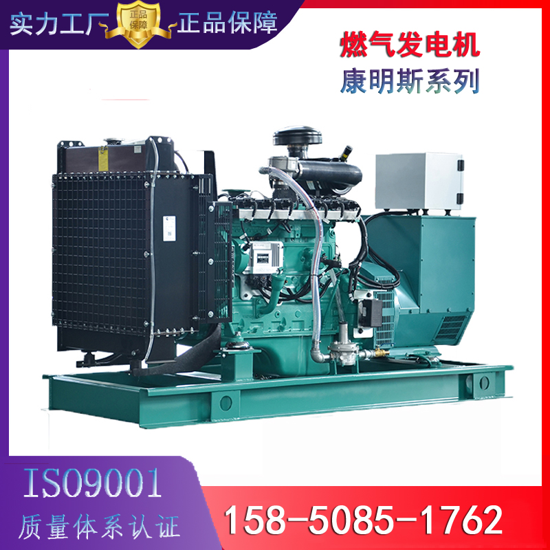 燃气发电机组 环保节能 80kw 康明斯6NG5.9TAA-G3 天然气、沼气发电机