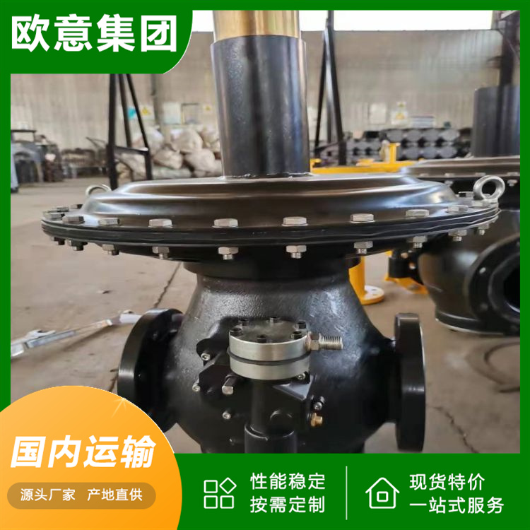 燃气调压器 液化气减压阀 家用煤气罐可用 欧意