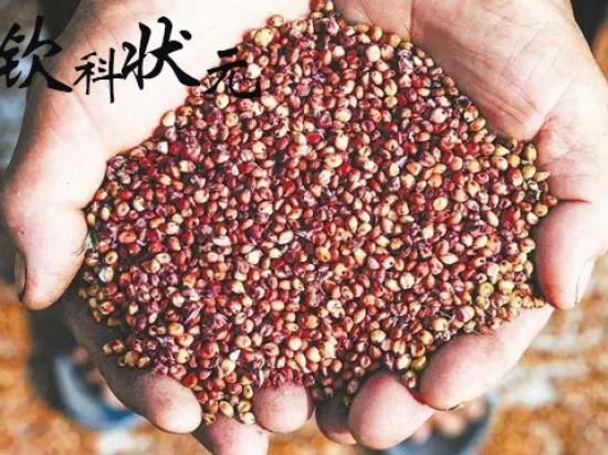 钦科状元煎饼