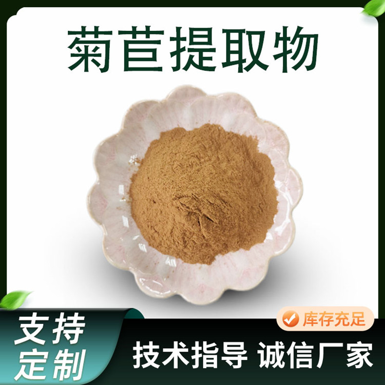 10:1浓缩粉 菊苣提取物 规格齐全 SC工厂原料粉 1公斤起