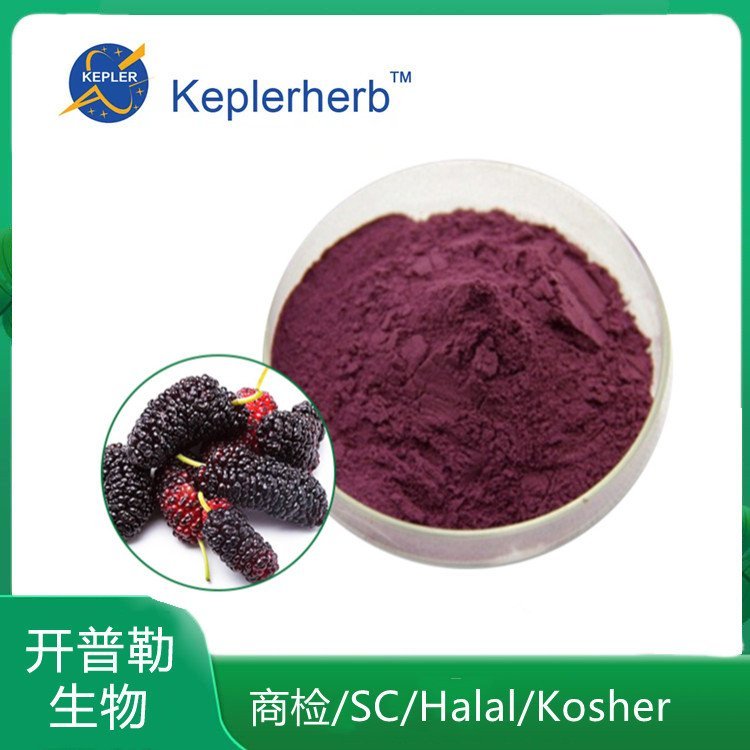 中药材提取物 SC资质工厂 桑葚果粉 桑葚花青素 KPL-0054
