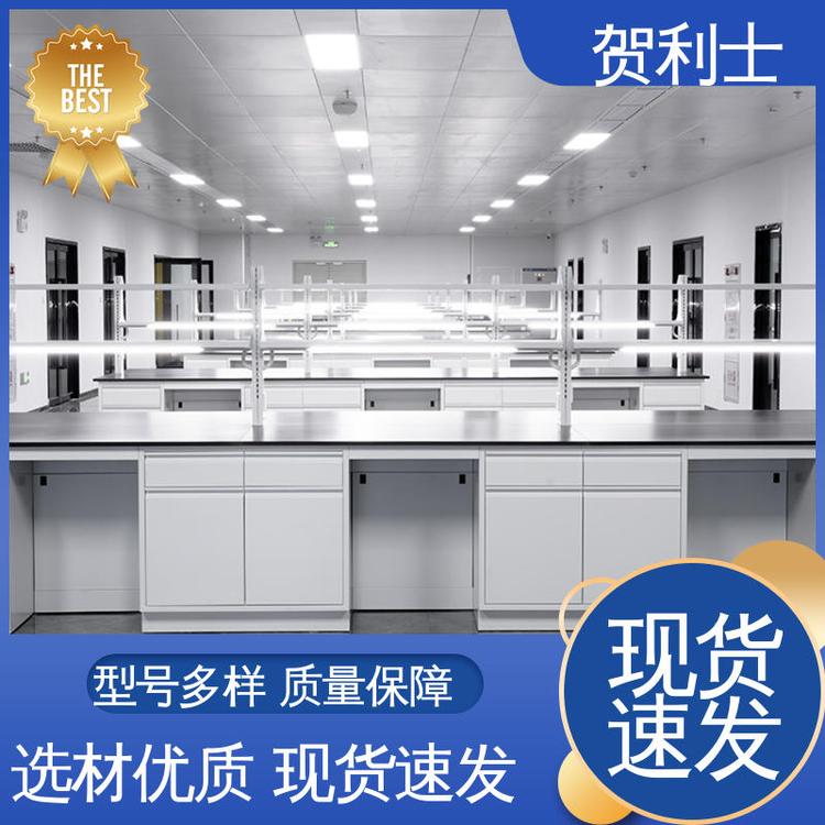耐酸碱 保质保量 精致打造 检测机构专用 全钢边台 贺利士