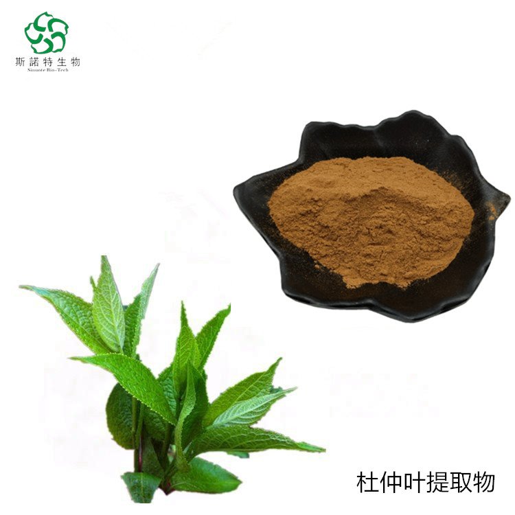 杜仲叶提取物 绿原酸含量5% 醇提工艺 精细粉末 1公斤起售