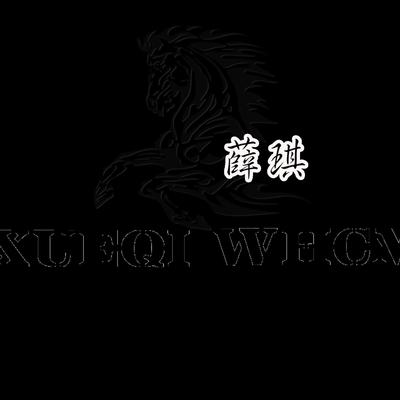 山东薛琪啤酒有限公司