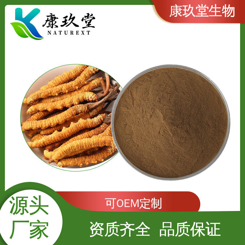 康玖堂 25公斤/桶 Cordyceps Extract 资质齐全 植物提取物