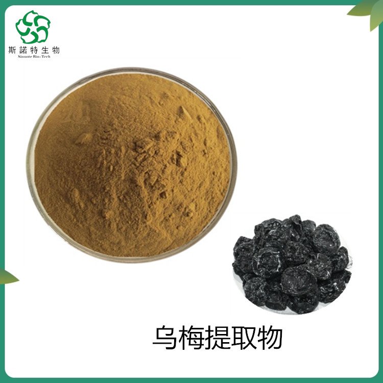 斯诺特 乌梅提取物 果实浓缩萃取 精细粉末 制粒压片原料