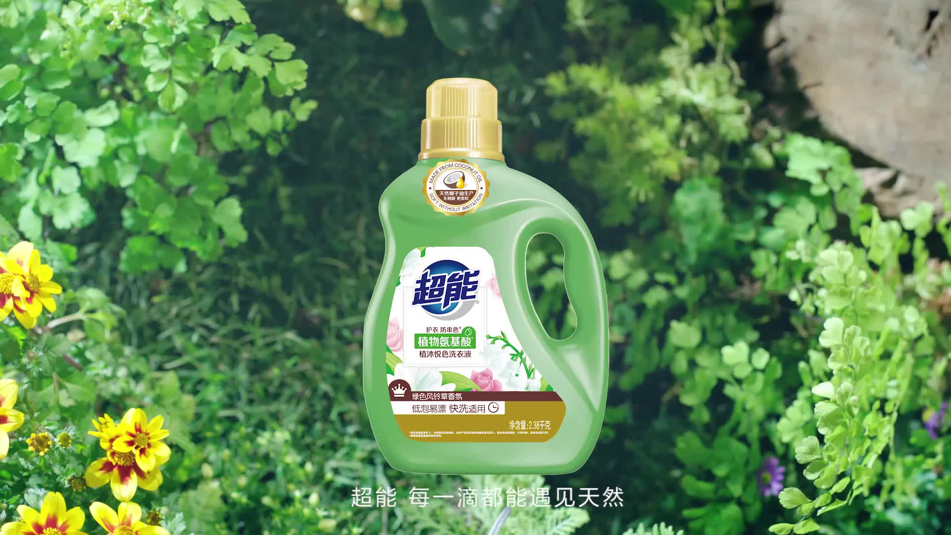 视频