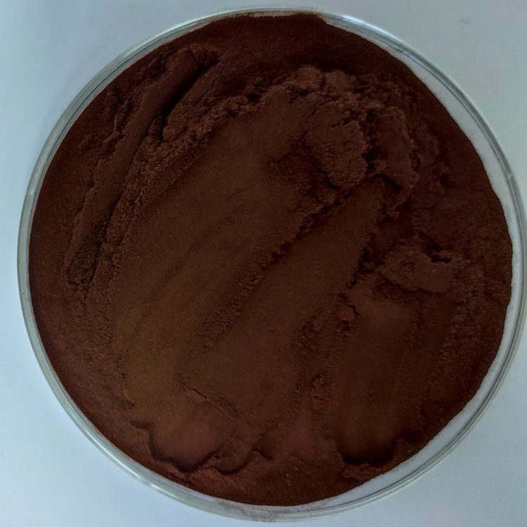 白桦茸提取物 白桦茸多糖 斯诺特生物水溶细粉