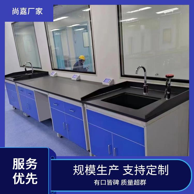 漯 河尚嘉 pp 实验室操作台 学校物理化学 实地测量订制上门测量