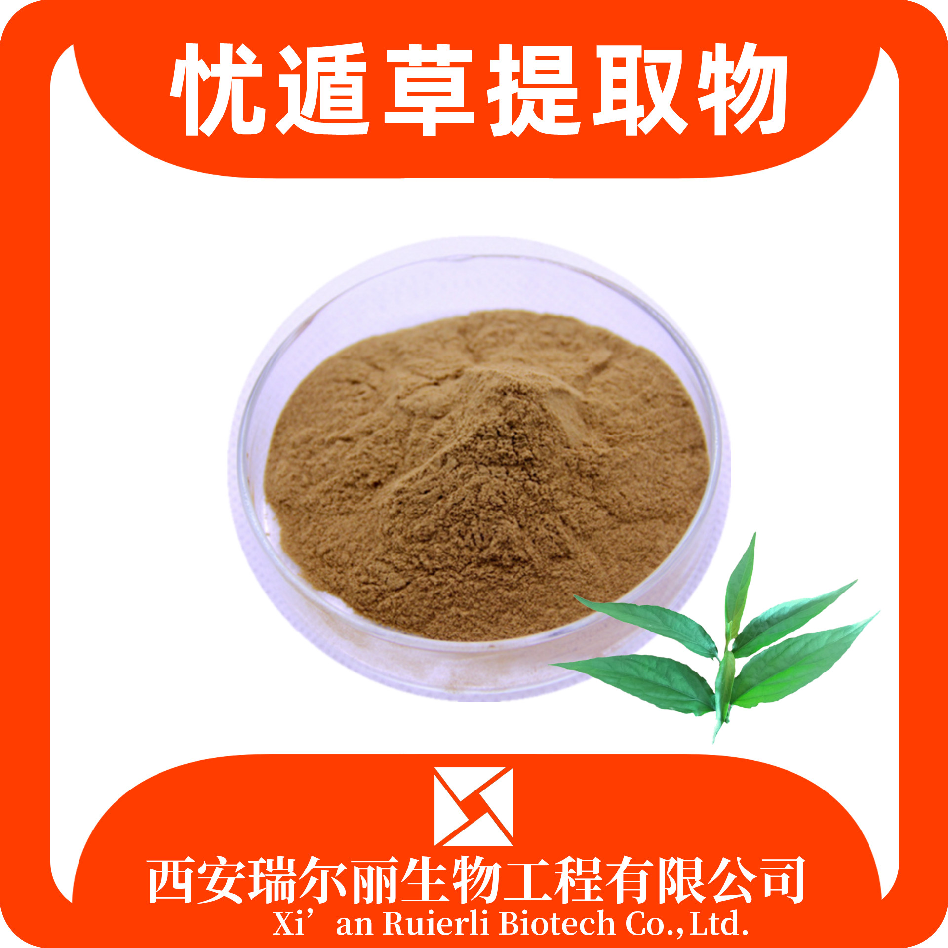忧遁草提取物 速溶忧遁草粉 SC厂家可定制 浸膏粉 瑞尔丽生物