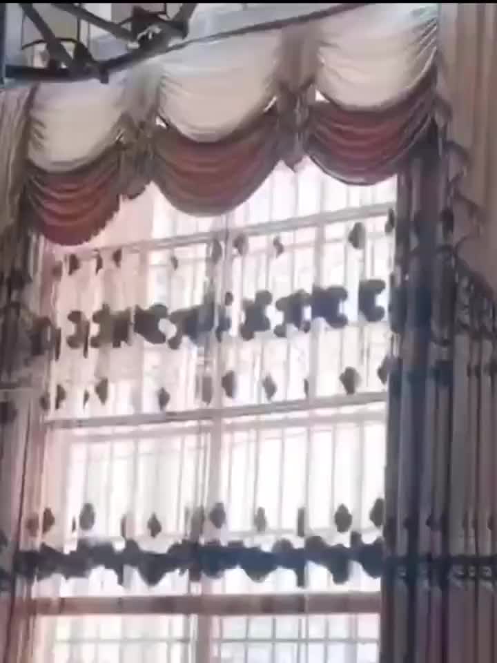 视频