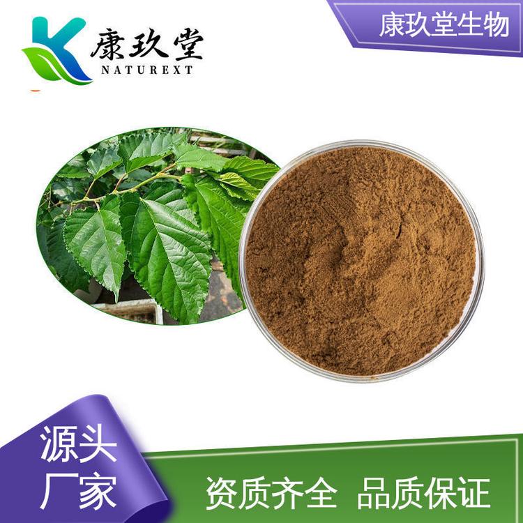 桑叶提取物 Mulberry Leaf Extract 25公斤/桶 资质齐全 康玖堂