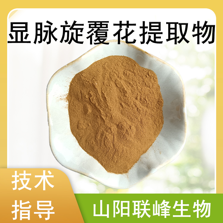 食品级显脉旋覆花提取物 喷雾干燥浓缩浸膏粉 小黑药水溶粉植物萃取