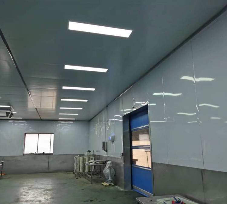 九少洁净室净化车间 高效除尘杀菌 光学光电专用