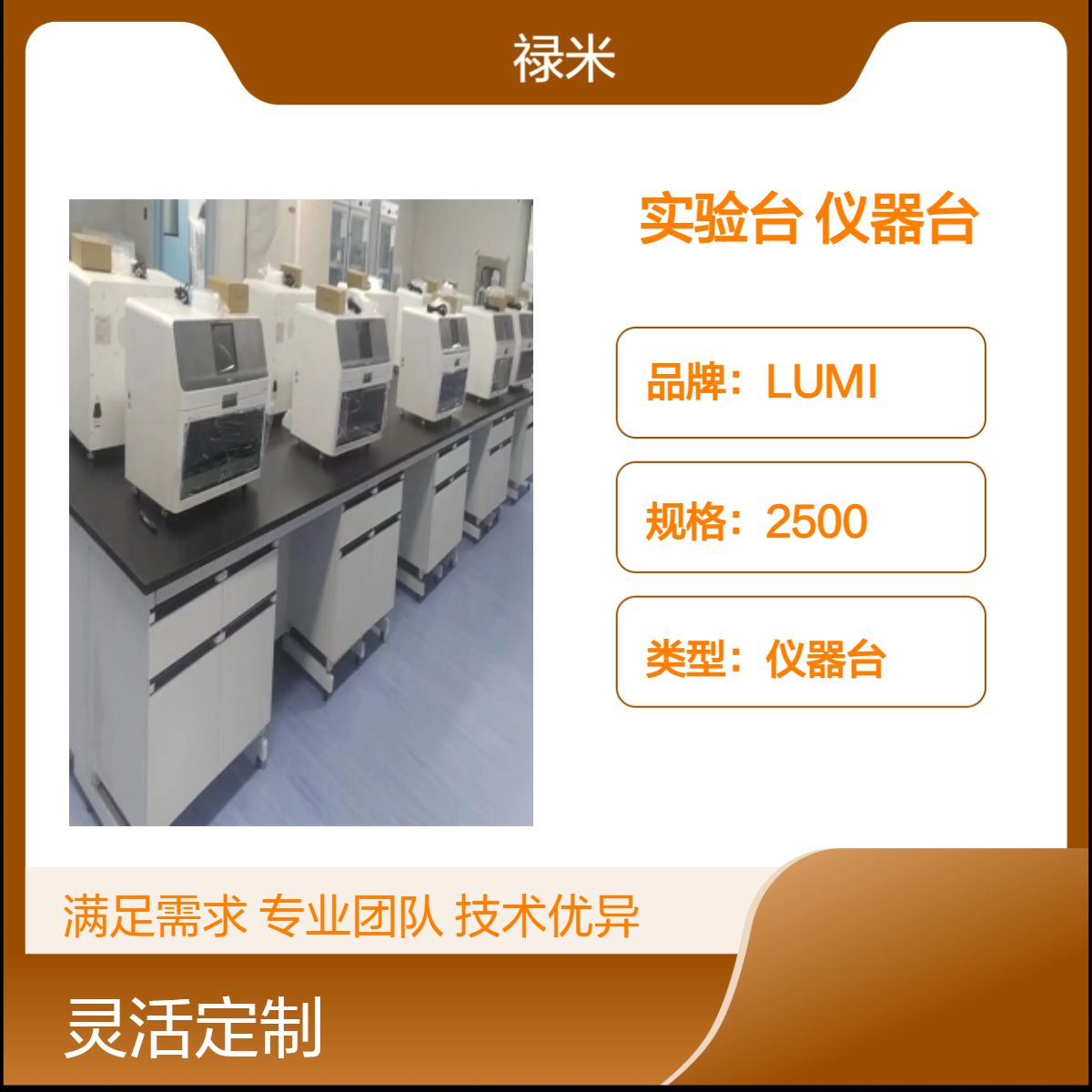 LUMI 全钢实验台简易教学中小学生实验室仪器台