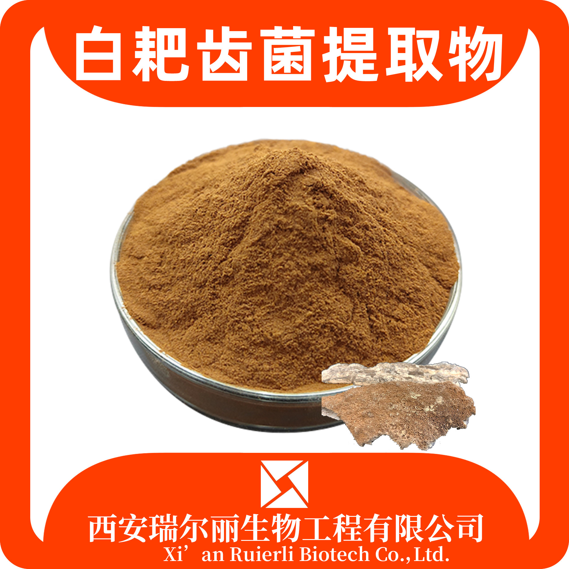 白耙齿菌提取物10：1 耙齿菌粉 sc证 可定制 耙齿菌浸膏粉 瑞尔丽生物