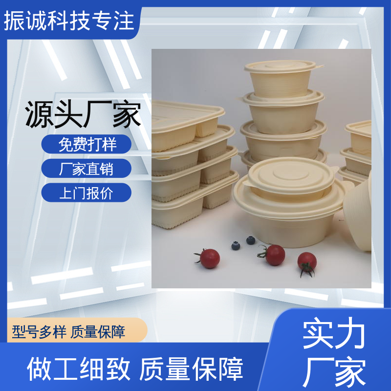 振诚科技 外卖打包盒 加厚 一次性分格餐碗 儿童带餐便携环保