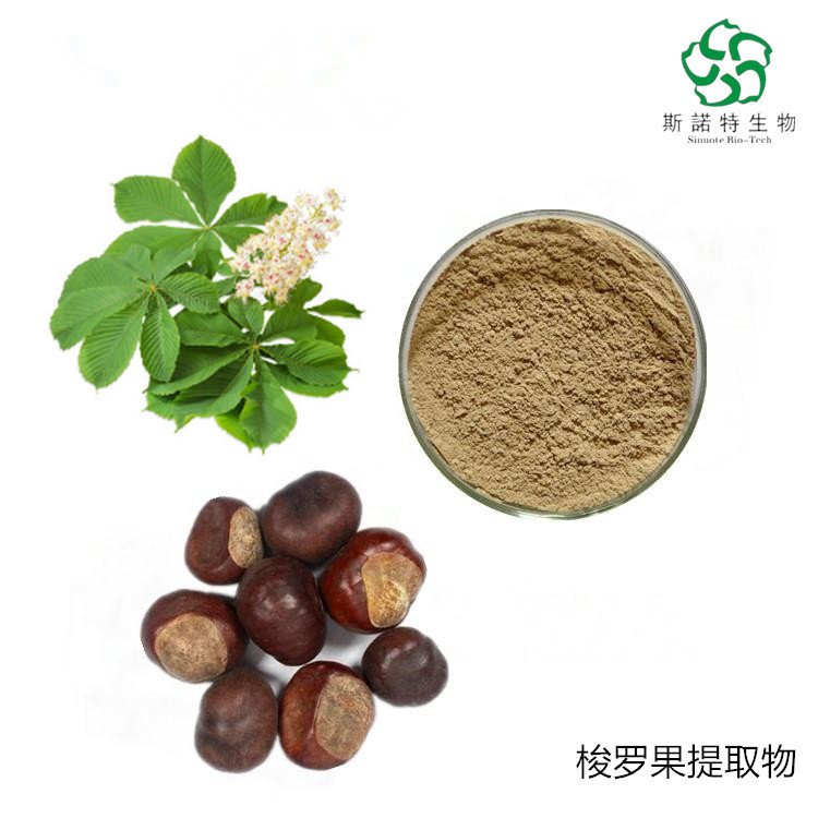 娑罗子提取物 水提工艺 棕黄色粉末 流动性好 易保存
