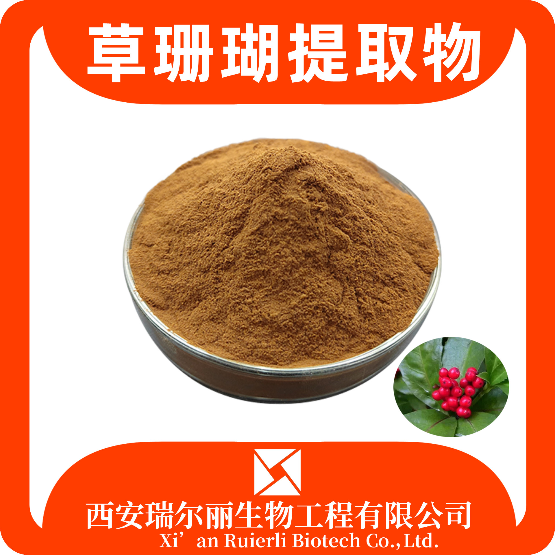 草珊瑚提取物 水溶草珊瑚粉 速溶浓缩粉 SC证 肿节风提取物 源头工厂