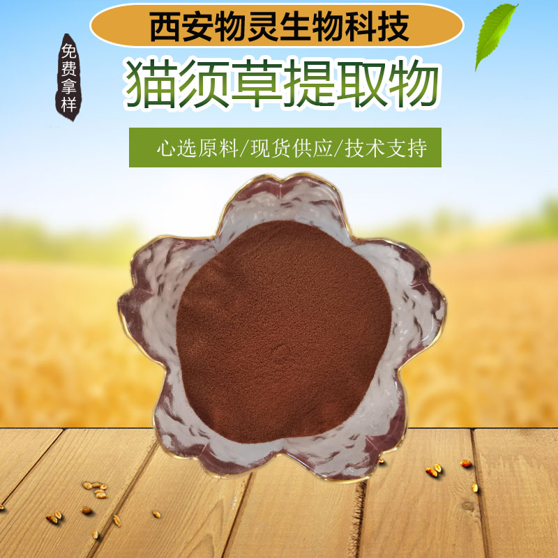 猫须草提取物 10:1原料提取浓缩粉 植物萃取 多种规格 现货包邮