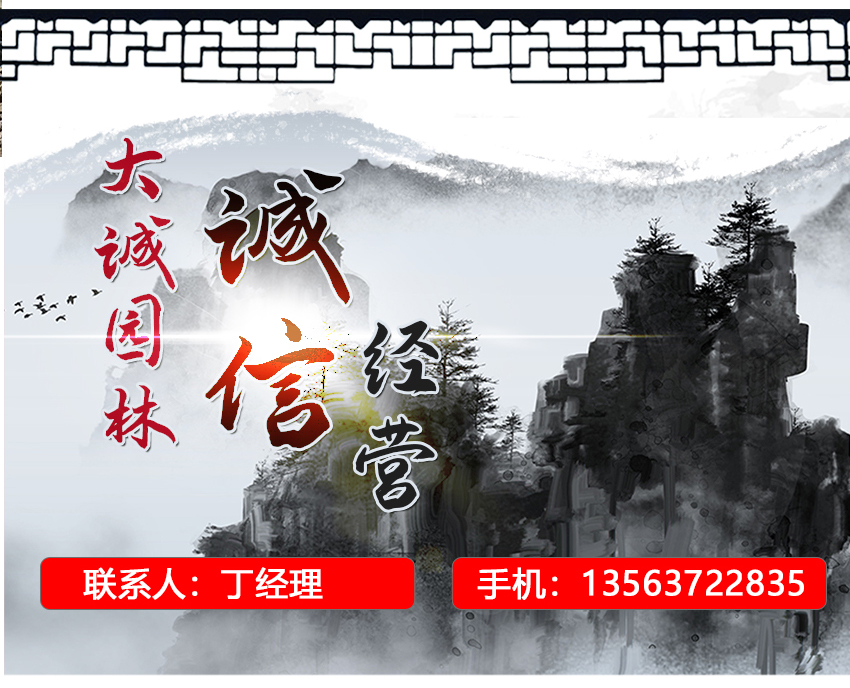 https://tianheprod.bj.bcebos.com/54927518/3b6f1abc5ddbafe6db4db7a10477cb8d.jpg