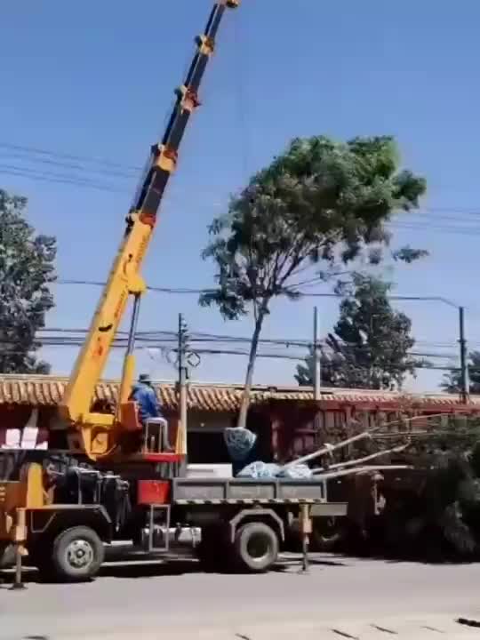 视频