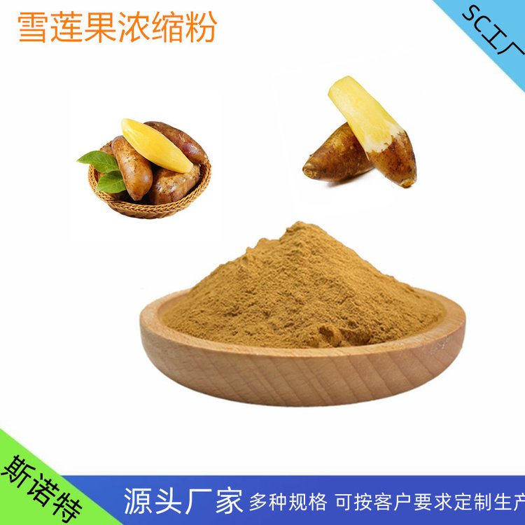 雪莲果浓缩粉 斯诺特 SC厂 浓缩 雪莲果粉 库存大
