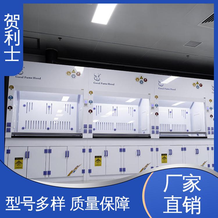 贺利士 坚固 检测专用通风柜 实芯理化板台面 保质保量 精致打造