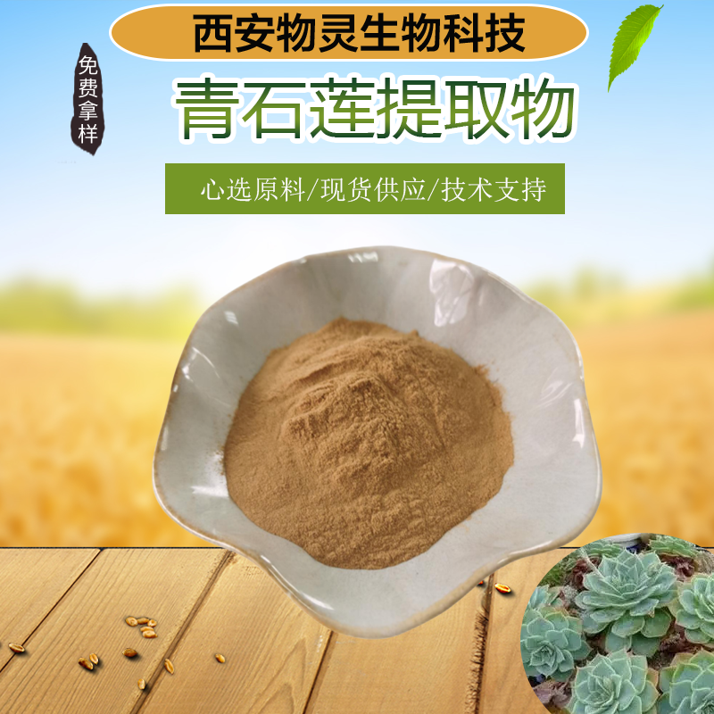 青石莲提取物 10:1 浓缩粉 植提萃取 水龙骨原料粉 物灵生物 支持定制