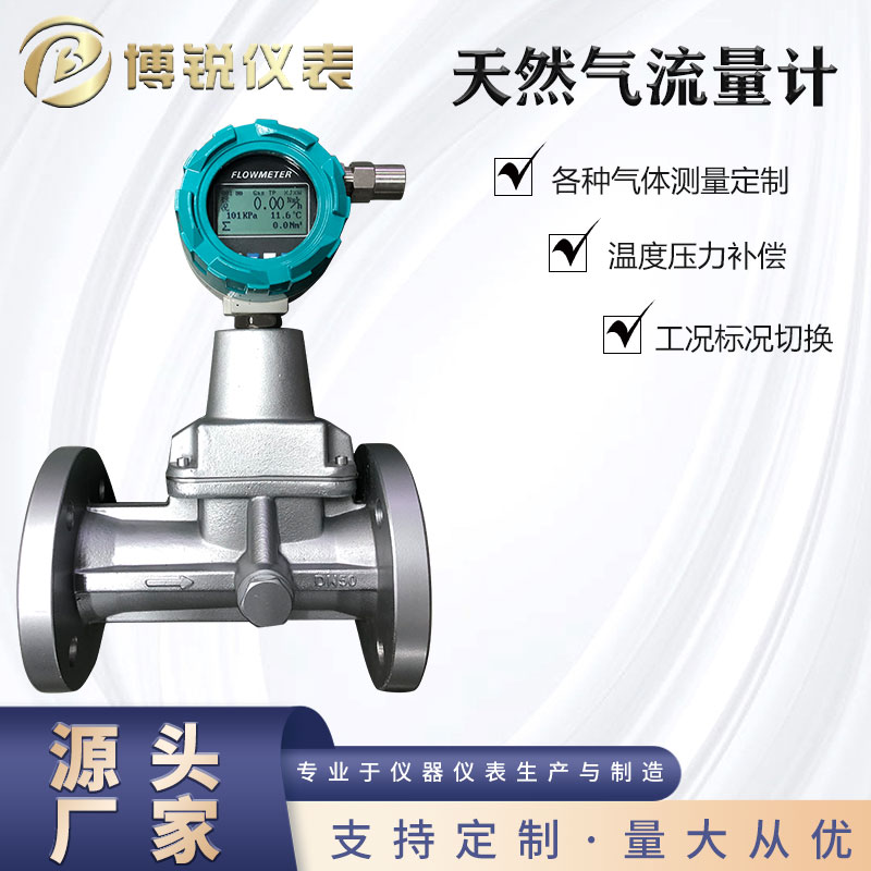 博锐 氨气氮气测量 旋进漩涡流量计 安装方便 适应恶劣环境