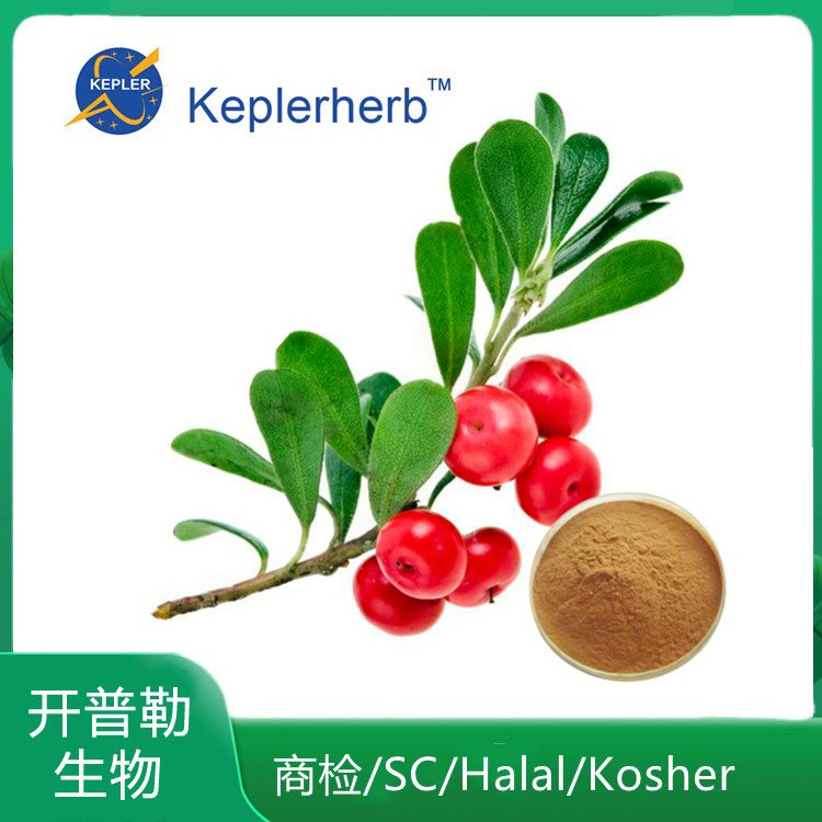 阿尔法熊果苷 熊果叶提取物 熊果叶粉 KPL-0069