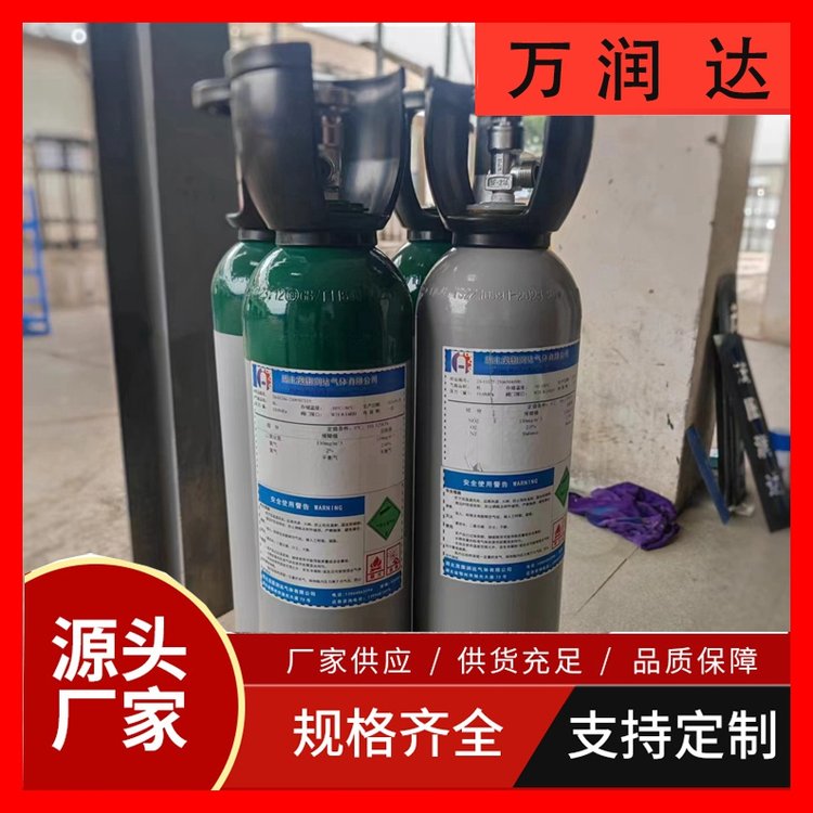附近标准气体厂家 环境监测标准气 多种规格 万润达 g