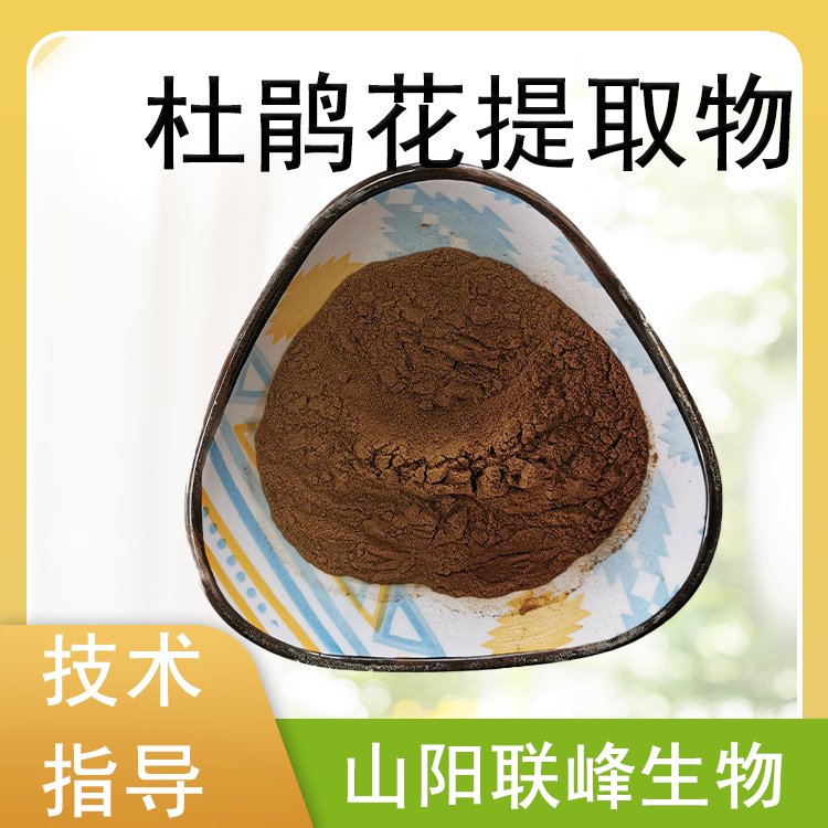 杜鹃花提取物10:1 水溶浸膏粉 喷雾干燥 多规格可定制