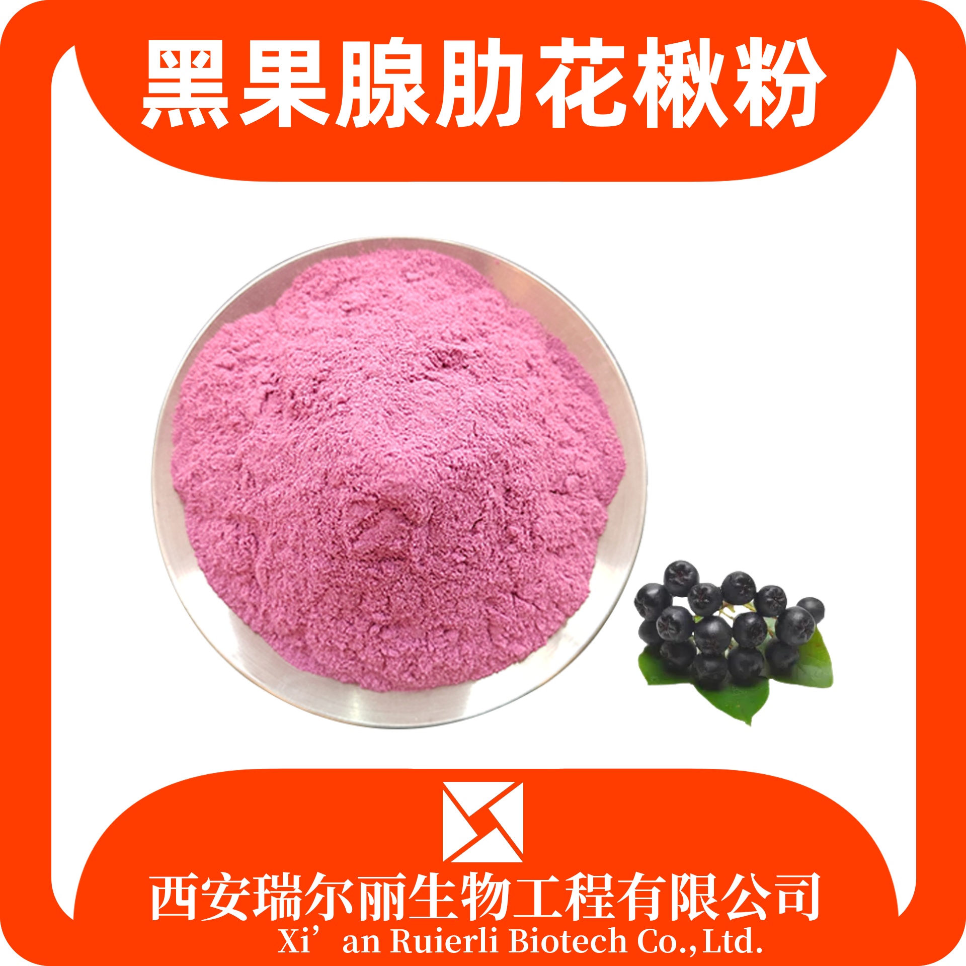 黑果腺肋花楸粉 速溶野樱莓粉 食品级 浓缩果汁粉 源头厂家