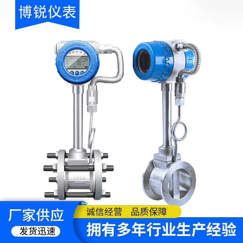 博锐 节能环保 防腐型涡街流量计 响应迅速 售后无忧