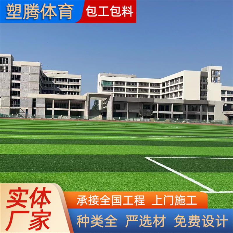 仿真人工假草皮 幼儿园 户外 足球场 大型人造草坪供应