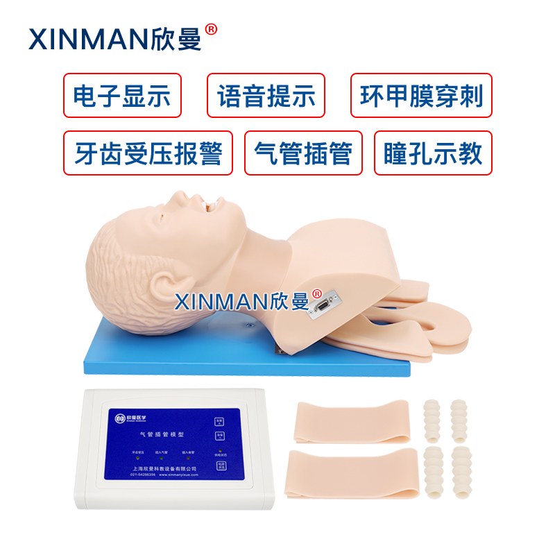 欣曼XINMAN 高级气道管理模拟人 气管插管操作训练模型