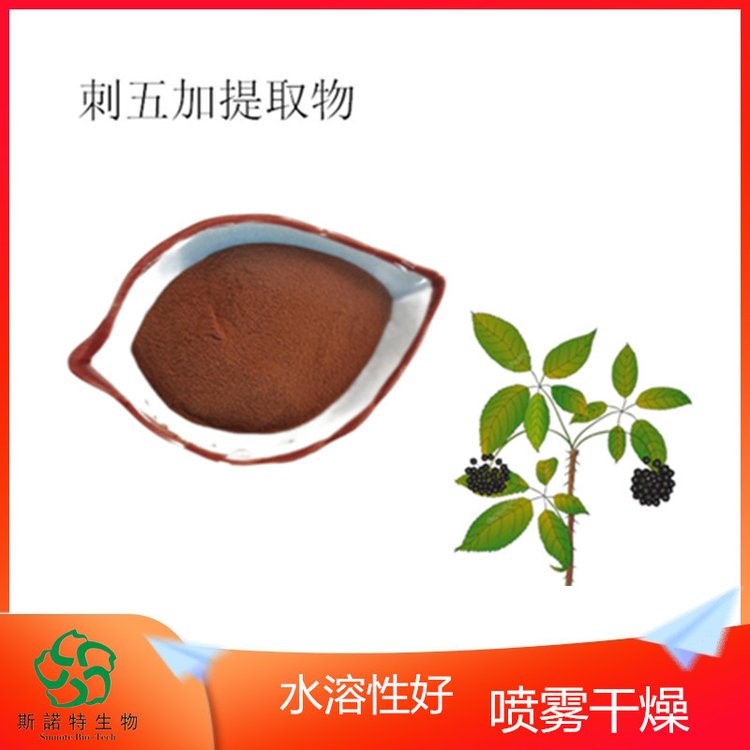 斯诺特 刺五加提取物 含皂甙 UV 80目精细粉末 含运费