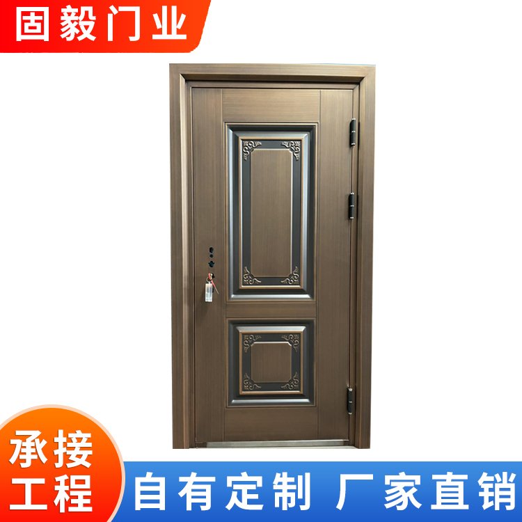 入户防盗门 农村自建房庭院大门 加工定制 厂家批发