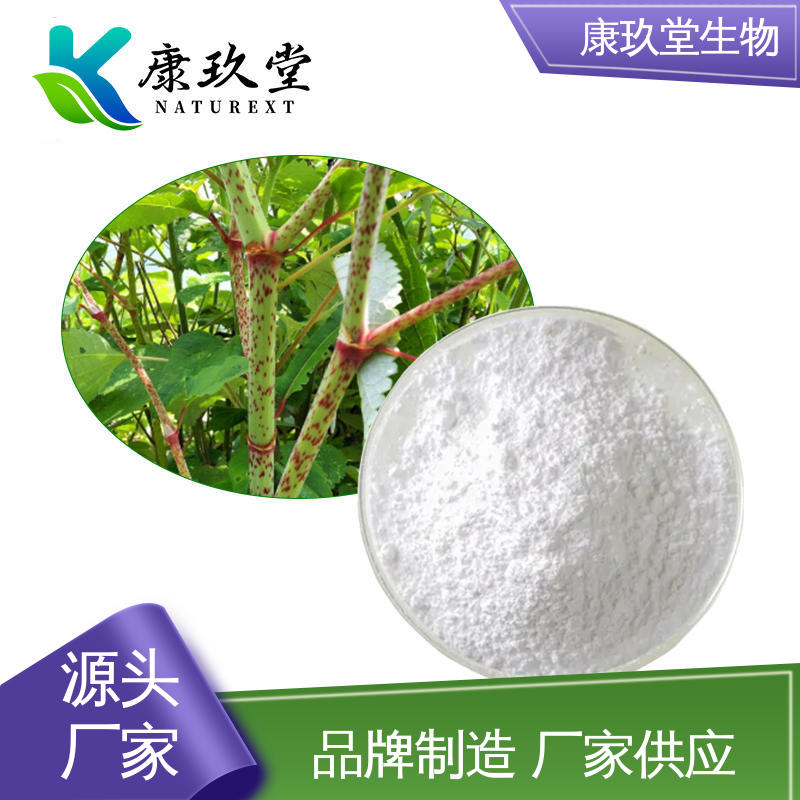 虎杖植物提取物 生产厂家 资质齐全 白色粉末 康玖堂