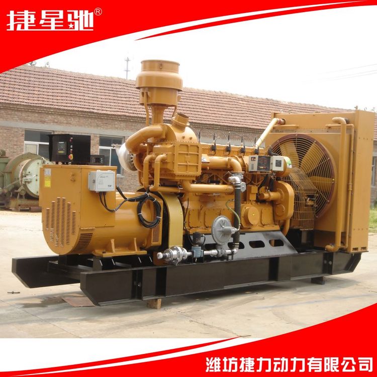 250KW 燃气 沼气 天然气 柴油 发电机组 静音 集装箱 电站 拖车