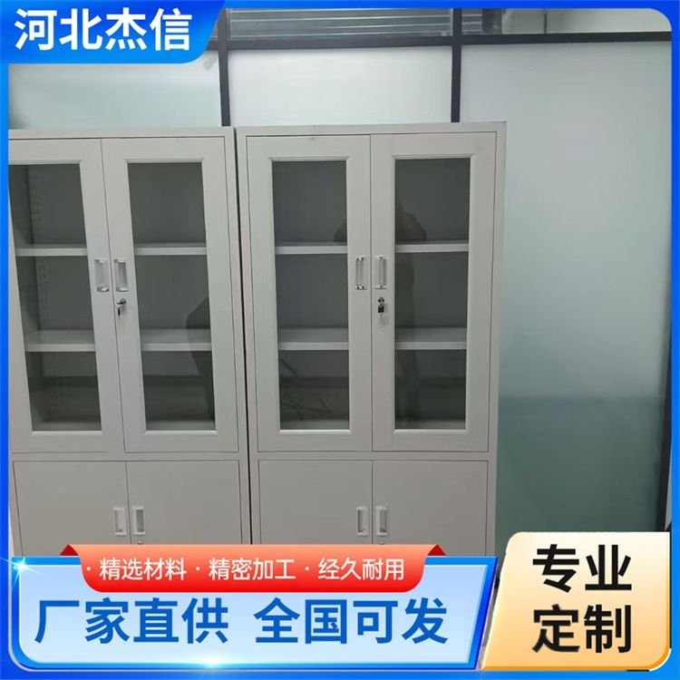 设计全钢试剂柜 柜台陈列柜 化学危化品柜 造型美观 服务优良
