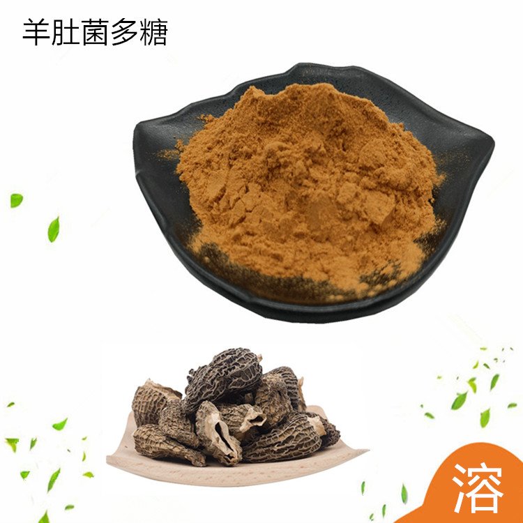 羊肚菌多糖 有效含量30% 斯诺特 工艺成熟 可长期供应