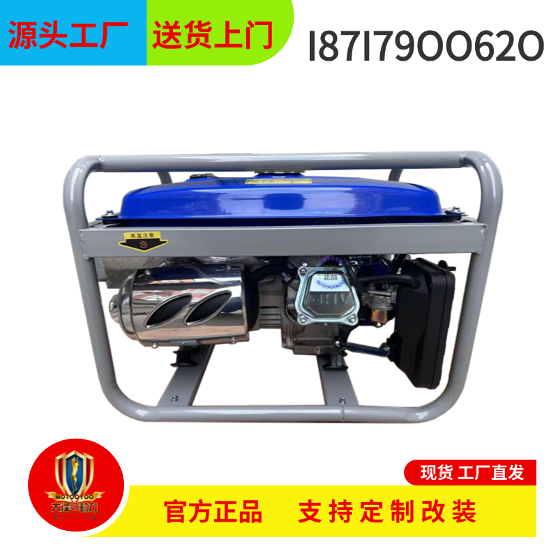 大泽动力小型2KW汽油发电机型号TO22000ETZ便携式230V