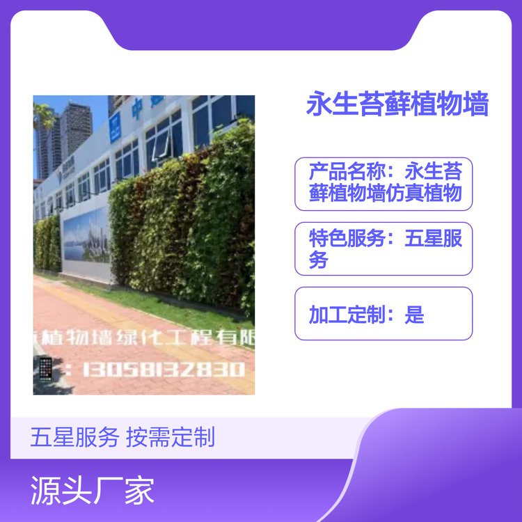 高端永生苔藓植物墙 家居装饰优选 五星服务 按需定制