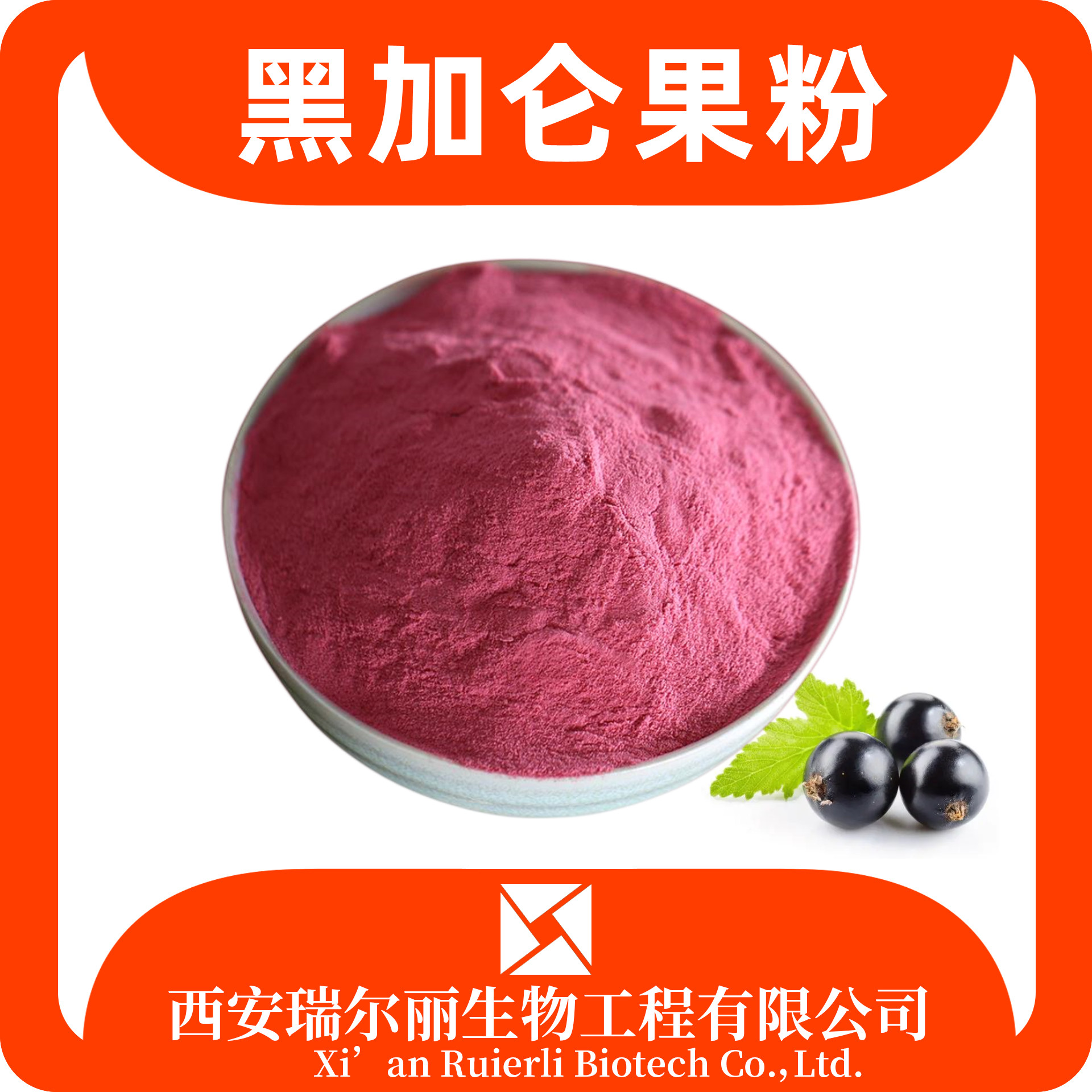 黑加仑果粉 速溶浓缩果汁粉 sc证 可定制果蔬粉 瑞尔丽生物 现货速发