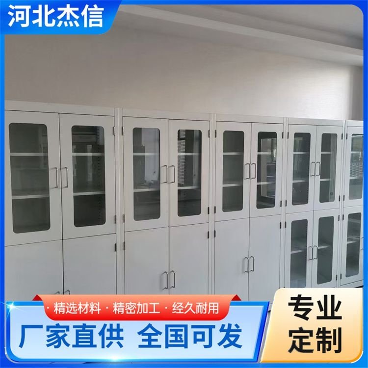 防腐全钢试剂柜 安全柜 实验室弱酸碱存储柜 造型美观 服务优良